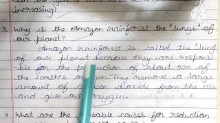 why is the Amazon rainforest the lungs of our planet?/#science