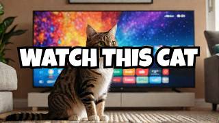 🔴 CAT REACTS to Cat TV for Cats!