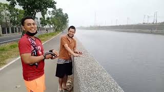 Berburu ikan Blanak babon di sungai