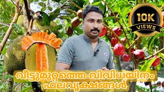 fruit plants at home | എന്റെ വീട്ടുമുറ്റത്തെ വിവിധയിനം ഫലവൃക്ഷങ്ങൾ