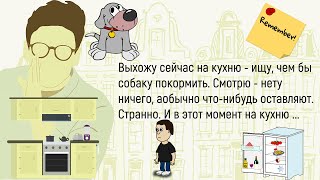 🏠Соседи Ехали На Море...Сборник Смешных Жизненных Истории Про Братьев Наших Меньших!