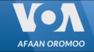 Oduu VOA Afaan Oromo Galgala Kibxata 8 February 2022