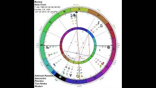 🌙✨🔮 Natal Chart Reading For Bunny🔮✨🌙