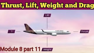 Four Forces of Flight : Thrust, Lift, Weight and Drag.