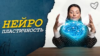 Что такое НЕЙРОПЛАСТИЧНОСТЬ и как ее развить?