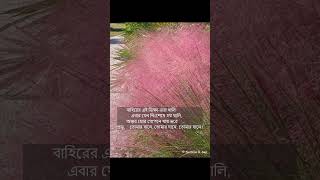 dhay jeno mor shokol bhalobasha -- Rabindrasangeet by Amitava Sen