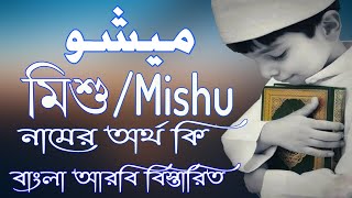 মিশু নামের অর্থ কি | Mishu Name Meaning | Mishu Namer Ortho ki | Prio Islam