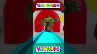 Colors of the Rainbow #vavaloo #kidssongs #shorts