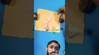 free energy generator #experiment #freeenergy #diy #generator #electric #electronic #science #shorts