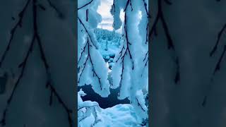 snowfall in Norway | winter is coming| visit Oslo Norway#shorts #norway