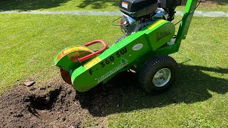 Odstránenie pňa - Frézovanie pňov Trenčín / Stump grinder in action! (Laski F 360 sw)