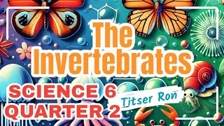 SCIENCE 6 QUARTER 2 l THE INVERTEBRATES