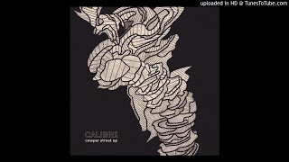 Calibre - Trickle