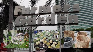 Farmers Garden Cubao Cactus and Succulents 🇵🇭 VERY EXPENSIVE | August, 2020