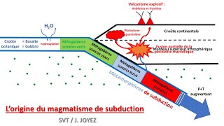 Magmatisme et roches de subduction