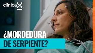 Carolina lucha por sobrevivir tras un accidente automovilístico | Clínica X