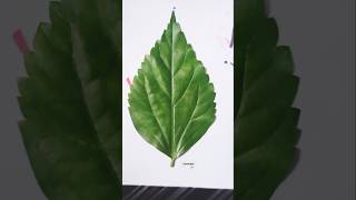 "Mind-Blowing Leaf Art That Will Leave You Speechless! 🍃🔥 #Shorts #Art #ytshorts "