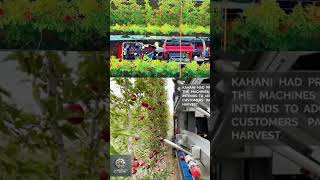 Apple harvesting robots - Technology changing agriculture