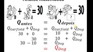 VÍDEO AULA 10 CONSERVAÇÃO DA QUANTIDADE DE MOVIMENTO