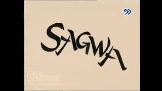 Sagwa, the Chinese Siamese Cat intro (Persian)