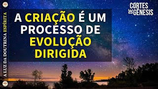 198 - A CRIAÇÃO É UM PROCESSO DE EVOLUÇÃO DIRIGIDA