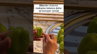 Biber Nasıl Kurutulur?