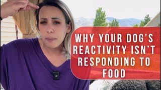 WHY YOUR REACTIVE DOG ISN’T RESPONDING QUICKLY WITH FOOD