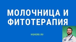 Молочница (кандидоз): фитотерапия, лечение, натуропатия