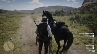 Red Dead Redemption 2 i-5 8300h 1050 TI 8 RAM