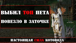 Выбил ТОП пета / ПОВЕЗЛО в заточке /ПВП/ Котовод 83+ / Lineage 2 Essence