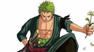 Roronoa Zoro Animation