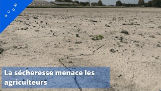 La sécheresse menace les agriculteurs