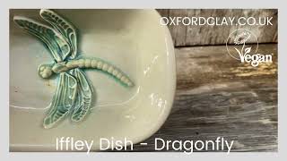 Iffley Dish Dragonfly