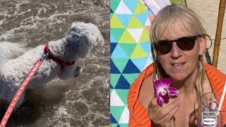 Mandy’s first time at the beach/ocean...Eating a flower / Polka party at the beach