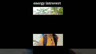 ఇవి తెలుసు కుంటే మంచిది /energy introvert/