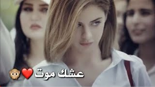 أمير يسوي مقلب ب شمس 😻💚||مسلسل هوئ بغداد/عشك موت😍❤