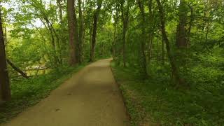 Walk in the park. The birds are singing. Video for relaxation.1 hour