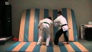 Double wrist grab from behind self defence   Blue belt self defence