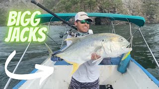 BAIT, BIRDS AND BIGG JACK CREVALLE IN TRINIDAD