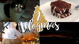 VLOGMAS 2❄️/ THE MOMMY BUNNY