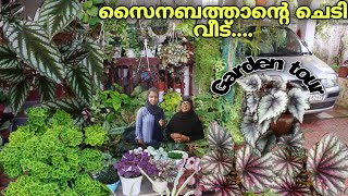 സൈനബത്താന്റെ വിവിധ തരം ചെടികൾ😍/Garden tour/home garden tour malayalam/FidhusWorld|