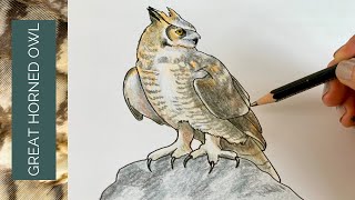 This GREAT HORNED OWL drawing is much easier than you think...