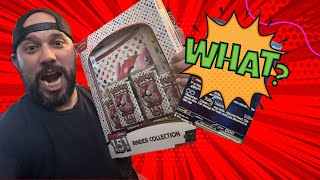 WHAT!? $10.99 151 Binder Collection!?