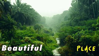 Beautiful Place | Anamalai Topslip Parambikulam road