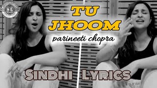 Tu Jhoom 2.0 ft: Parineet Chopra || New Guitar Cover Song || Sindhi Lyrics