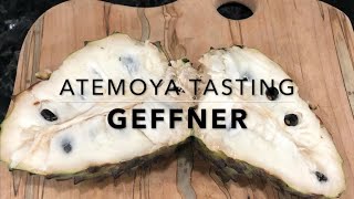 Atemoya Fruit Tasting - Geffner - Florida Tropical Fruit