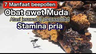 Tujuh manfaat bee pollen dan kandungan vitamin nya