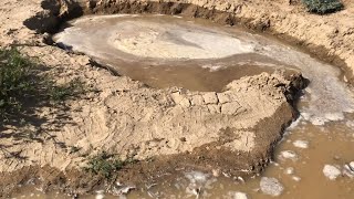 Dug A Water Hole In The Mojave Desert