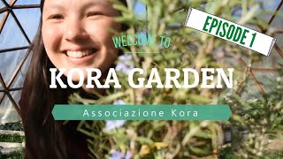 Kora Garden - Seeding