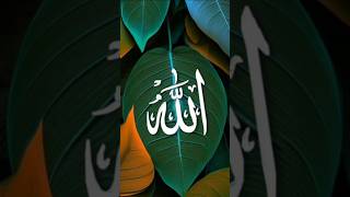 Allah #islamic short #youtube shorts #viral shorts #shorts video